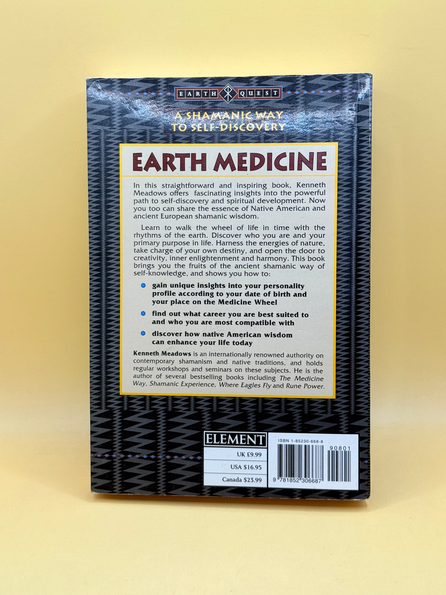 Earth Medicine: Revealing Hidden Teachings of the Native American Medicine Wheel by Kenneth Meadows