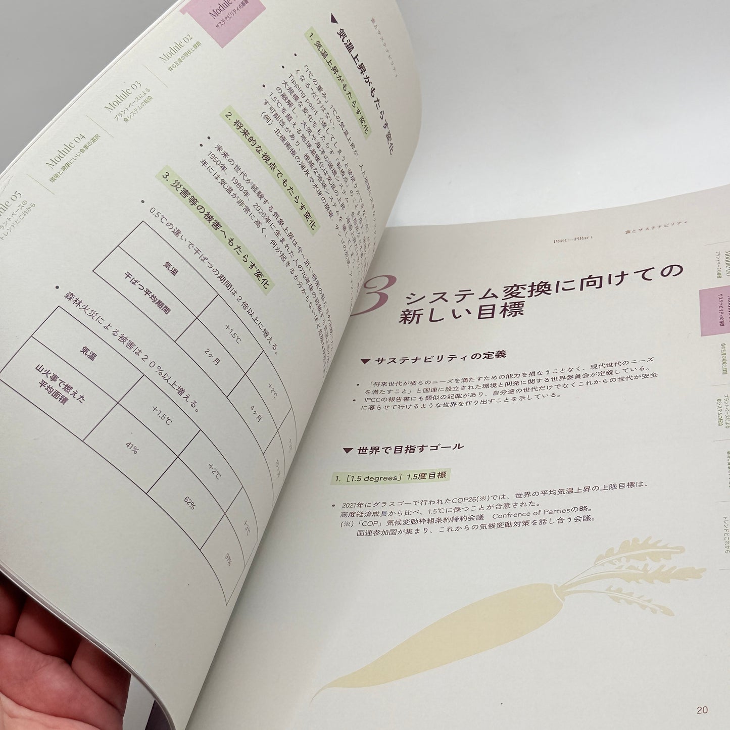 Plant-Based Expert Certification – Pillar 1 & Pillar 2 (Japanese Edition)