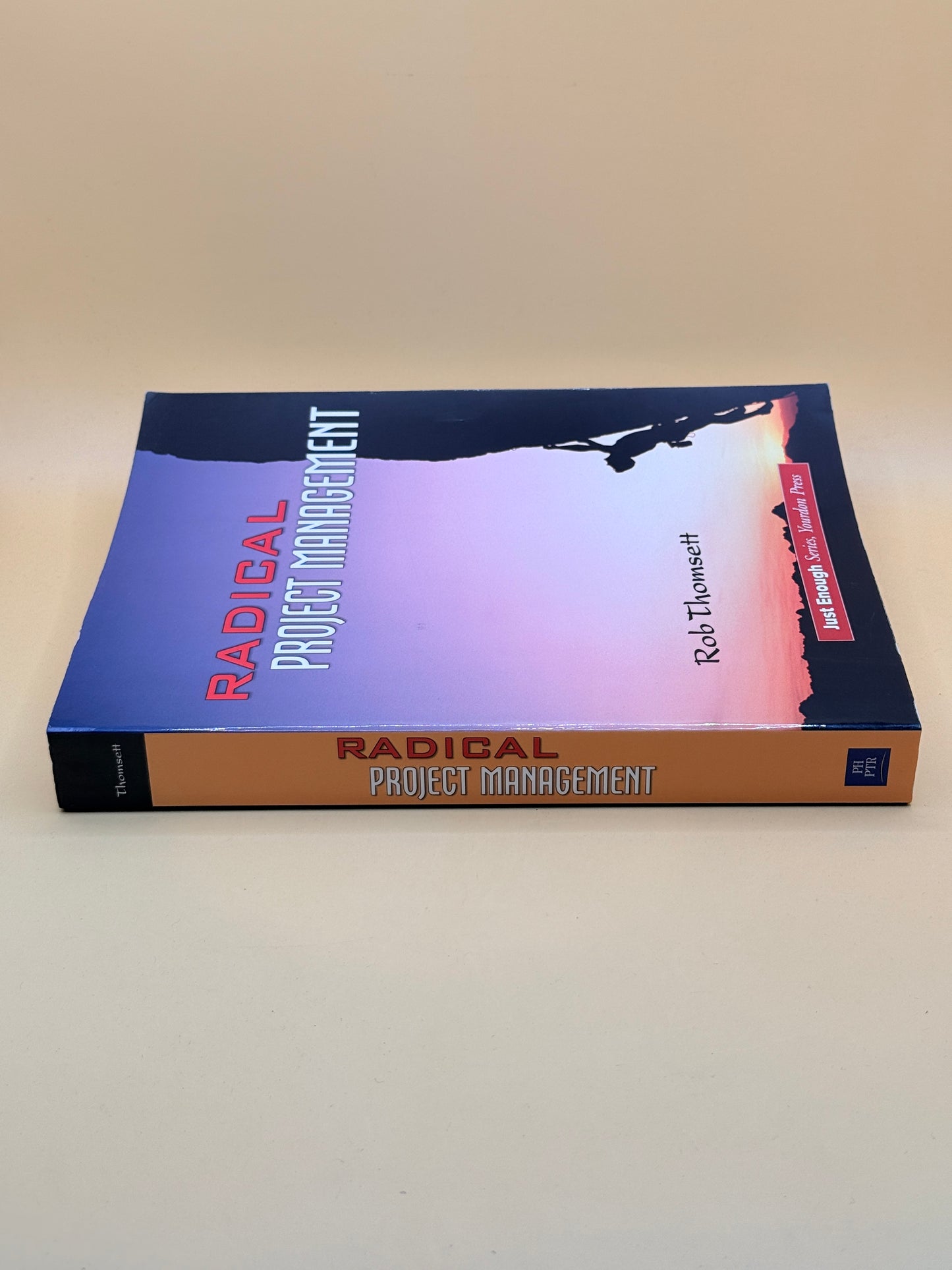 Radical Project Management by Rob Thomsett
