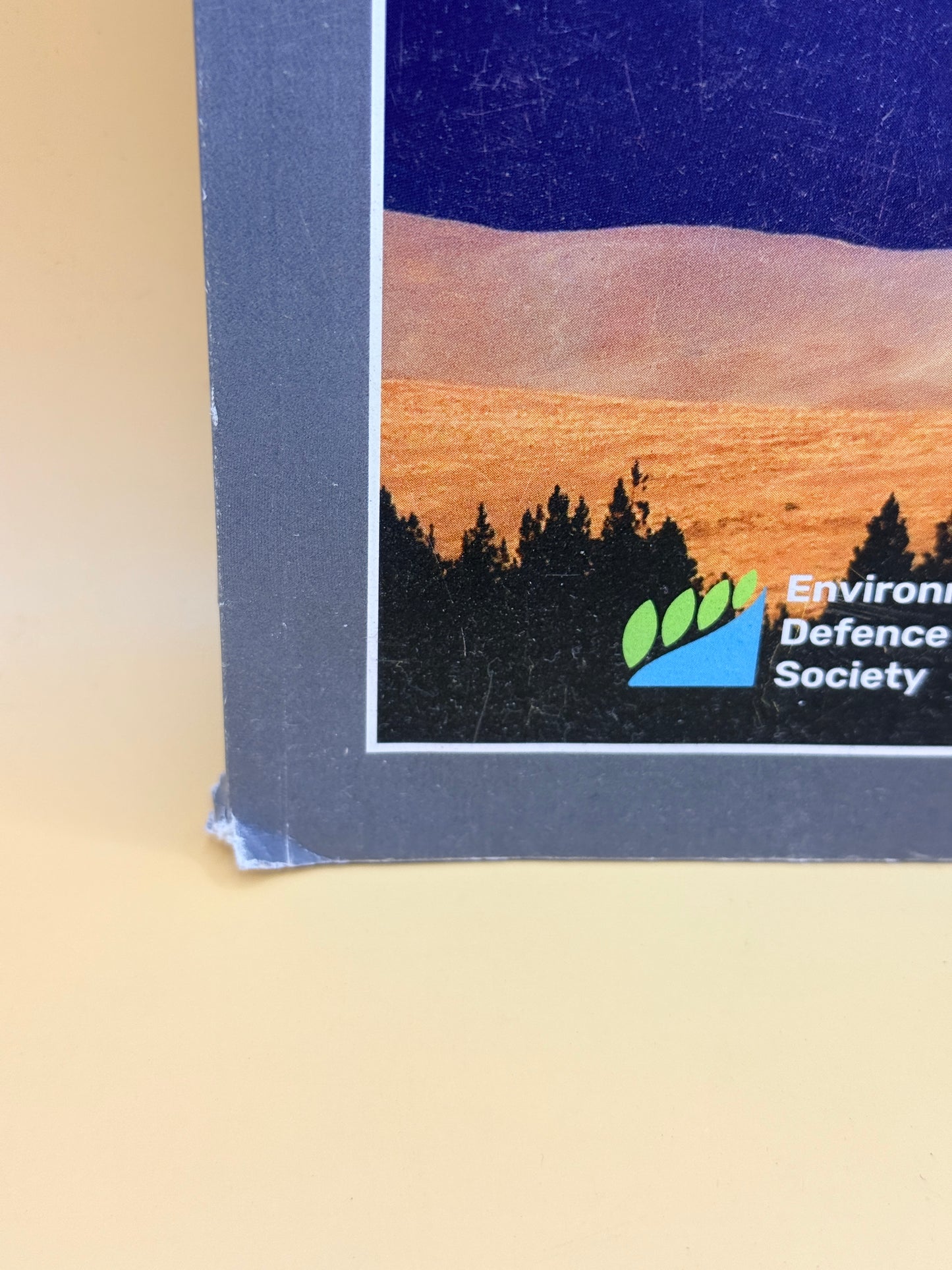 Replacing the Resource Management Act by Greg Severinsen