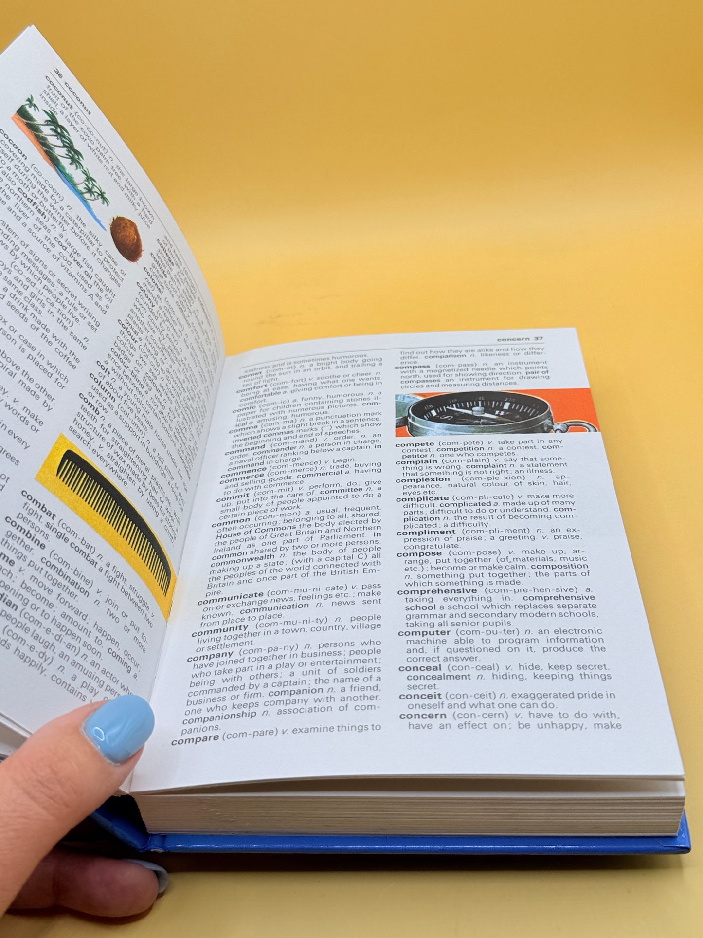Children’s Pocket Dictionary