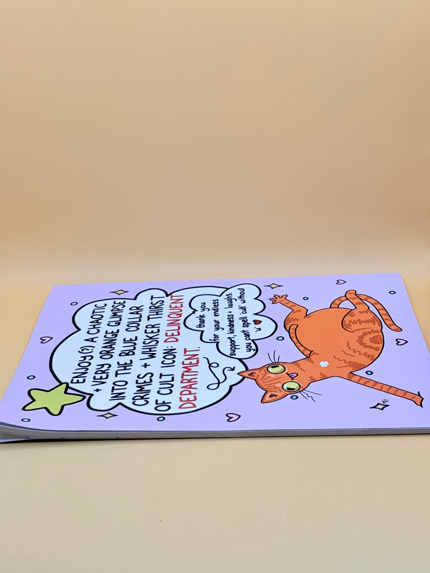 Ra-ra, Look! Deli D’s A Colourin’ Book! by Delinquent Department