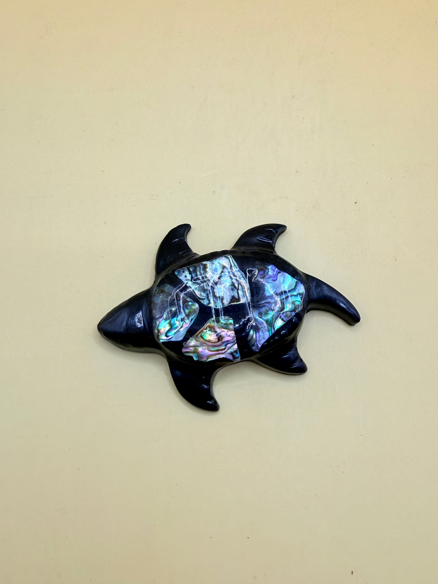 Decorative Paua Turtle Fridge Magnet