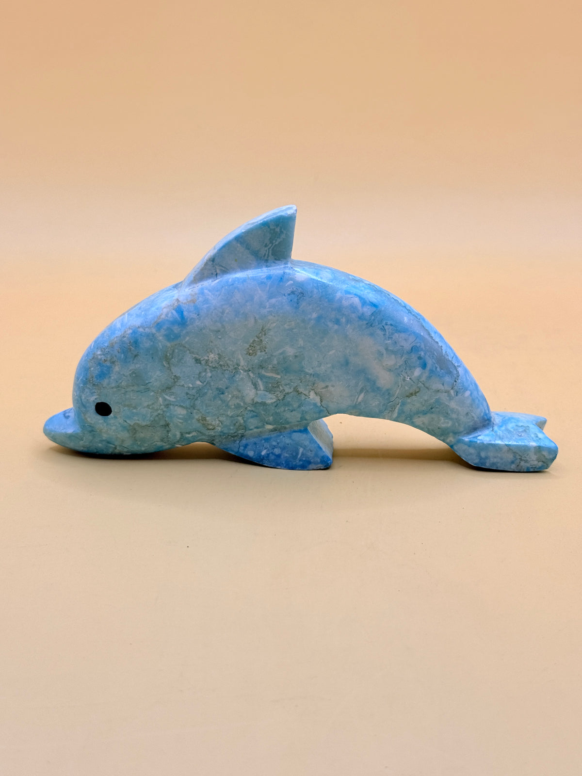 Assorted stone-look dolphin ornament - one random colour