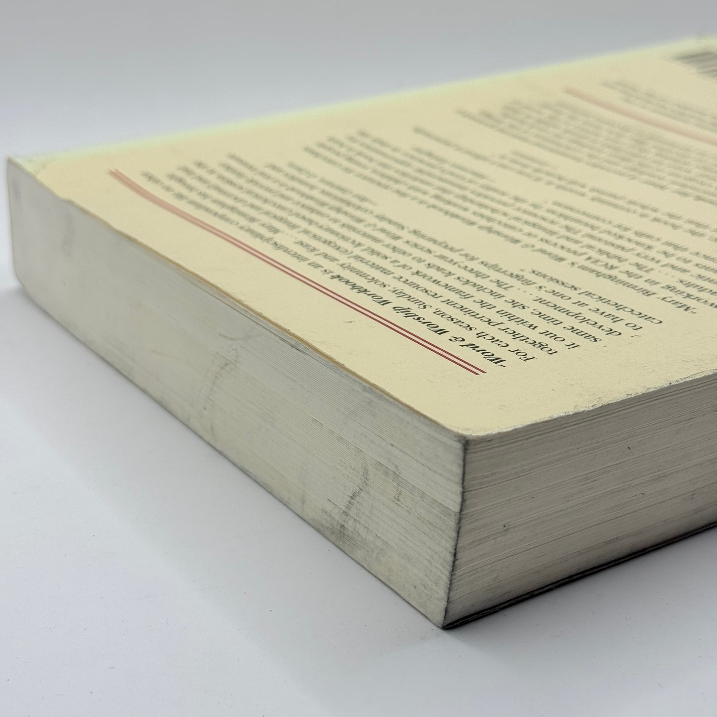 Word & Worship Workbook for Year A by Mary Birmingham