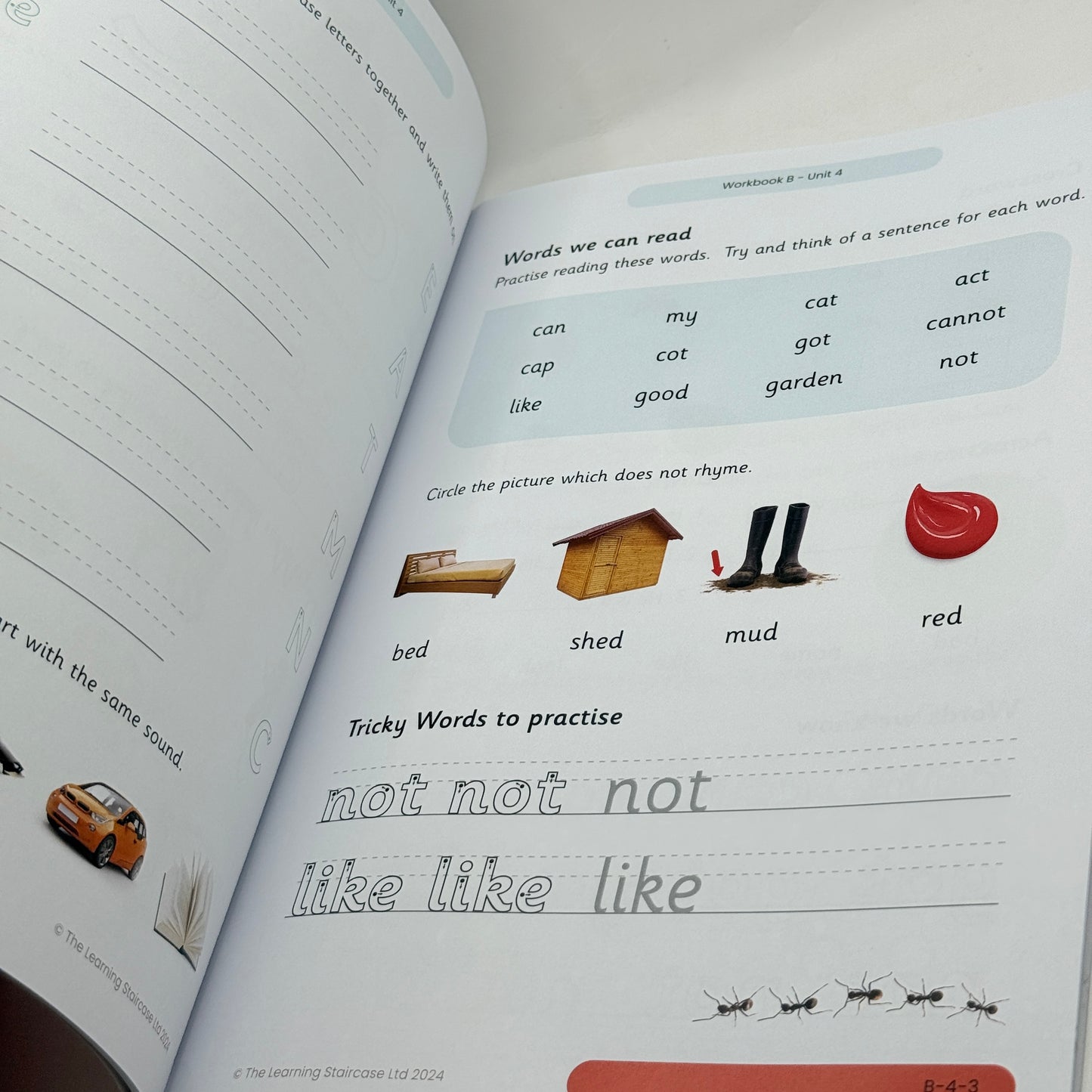 StepsWeb Workbook B: Foundation B: 1 (Stepsweb Foundation) by Ros Lugg