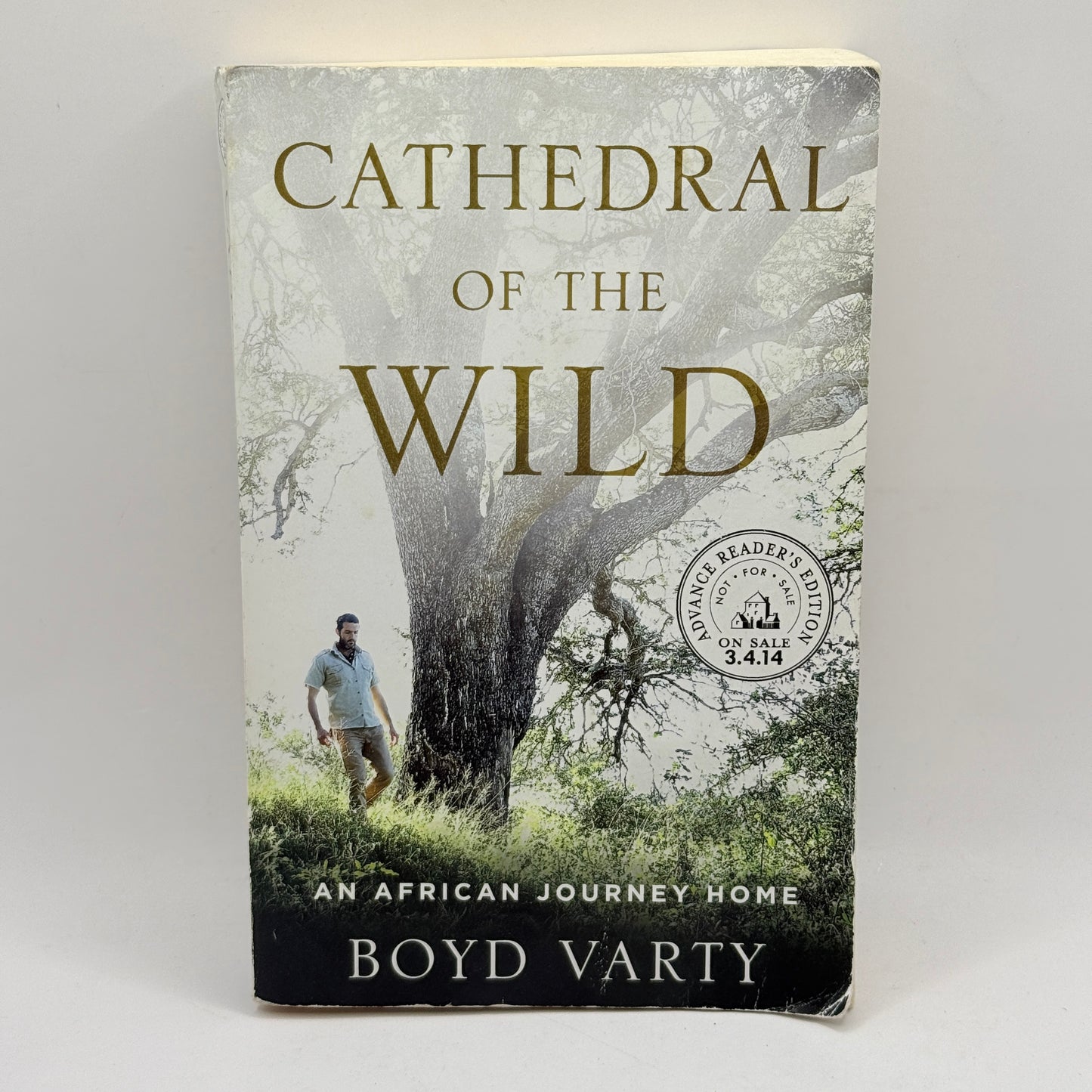 Cathedral of the Wild by Boyd Varty
