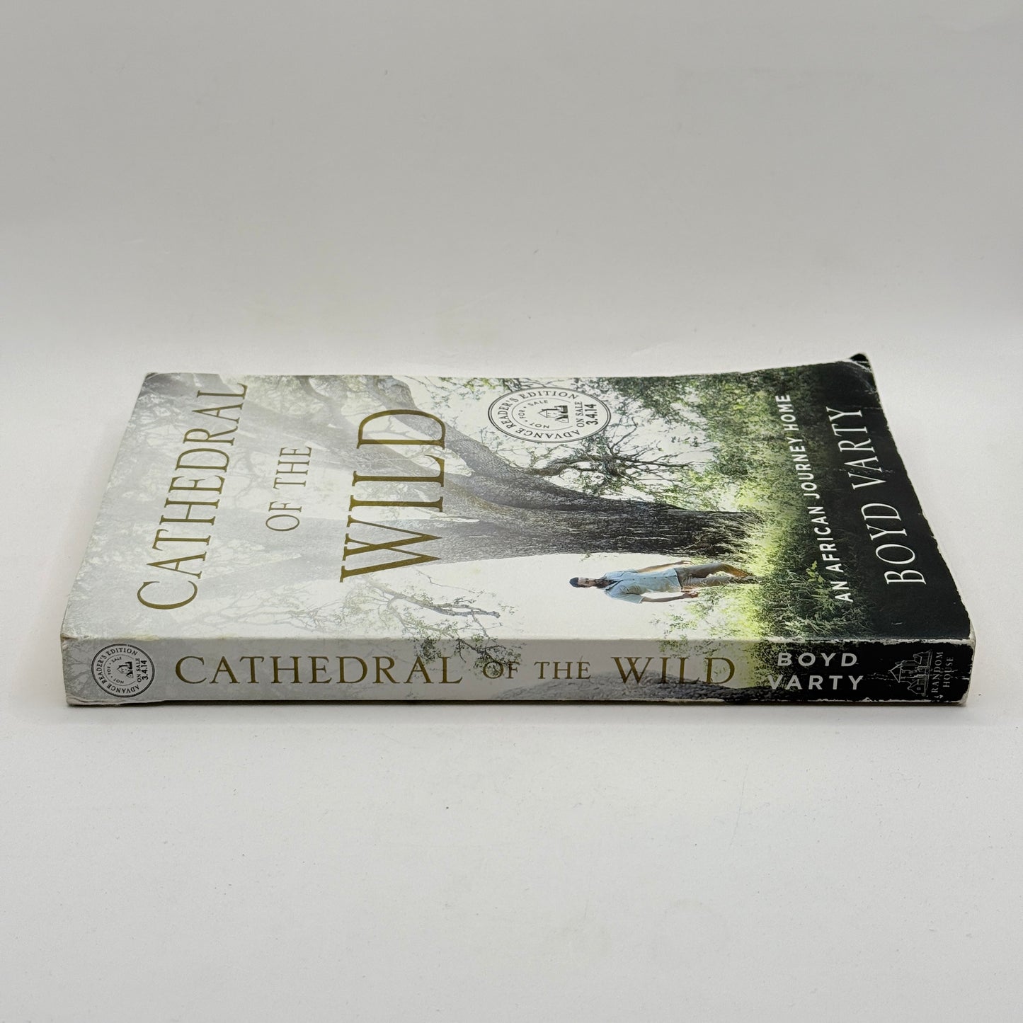 Cathedral of the Wild by Boyd Varty