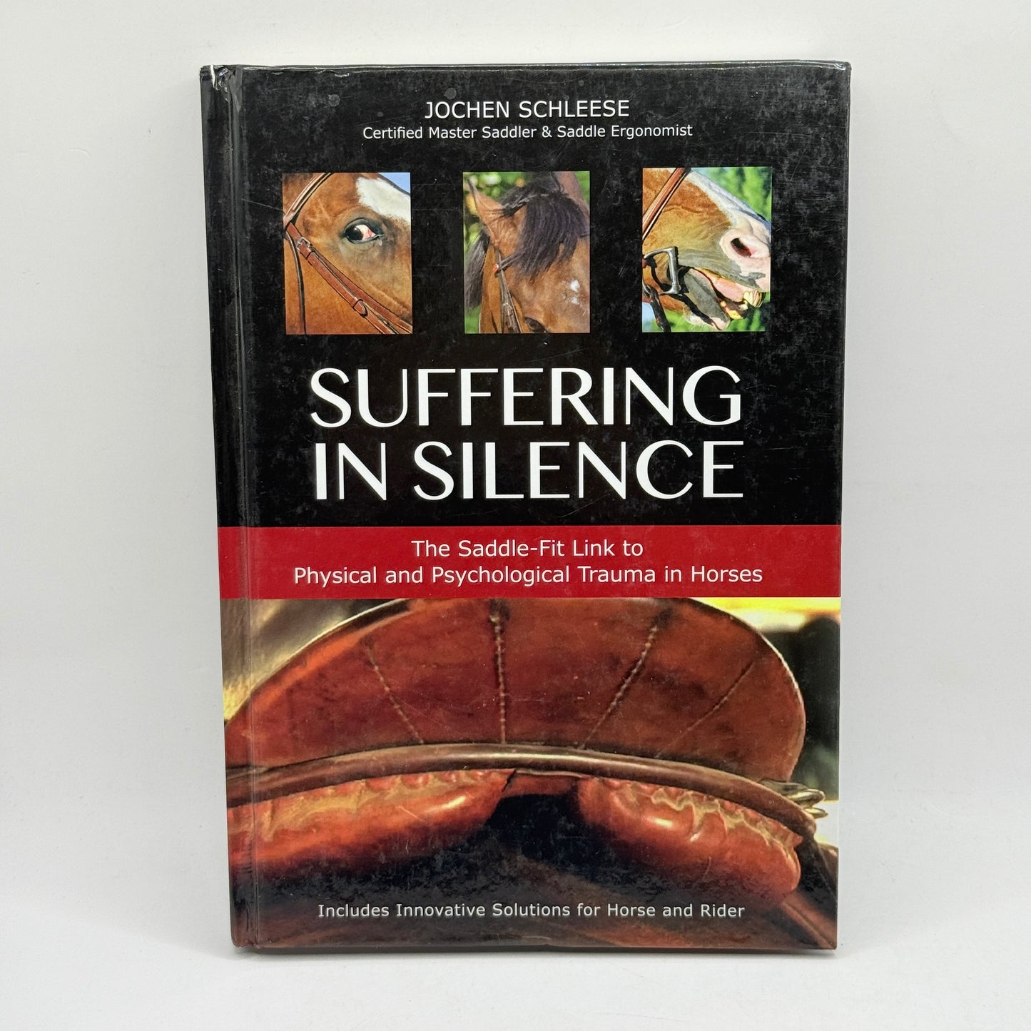Suffering in Silence by Jochen Schleese
