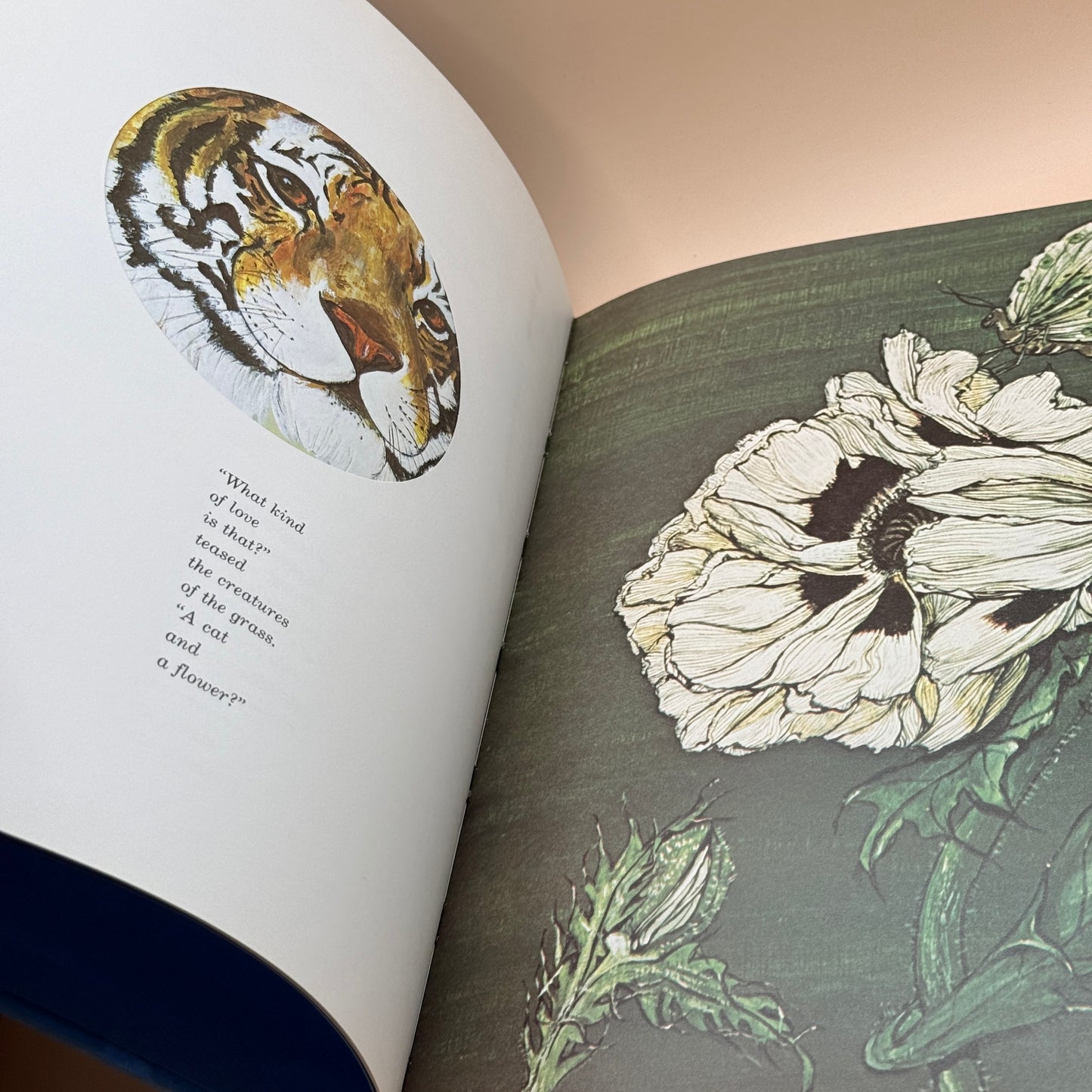 The Love of Tiger Flower by Robert Vavra