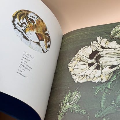 The Love of Tiger Flower by Robert Vavra