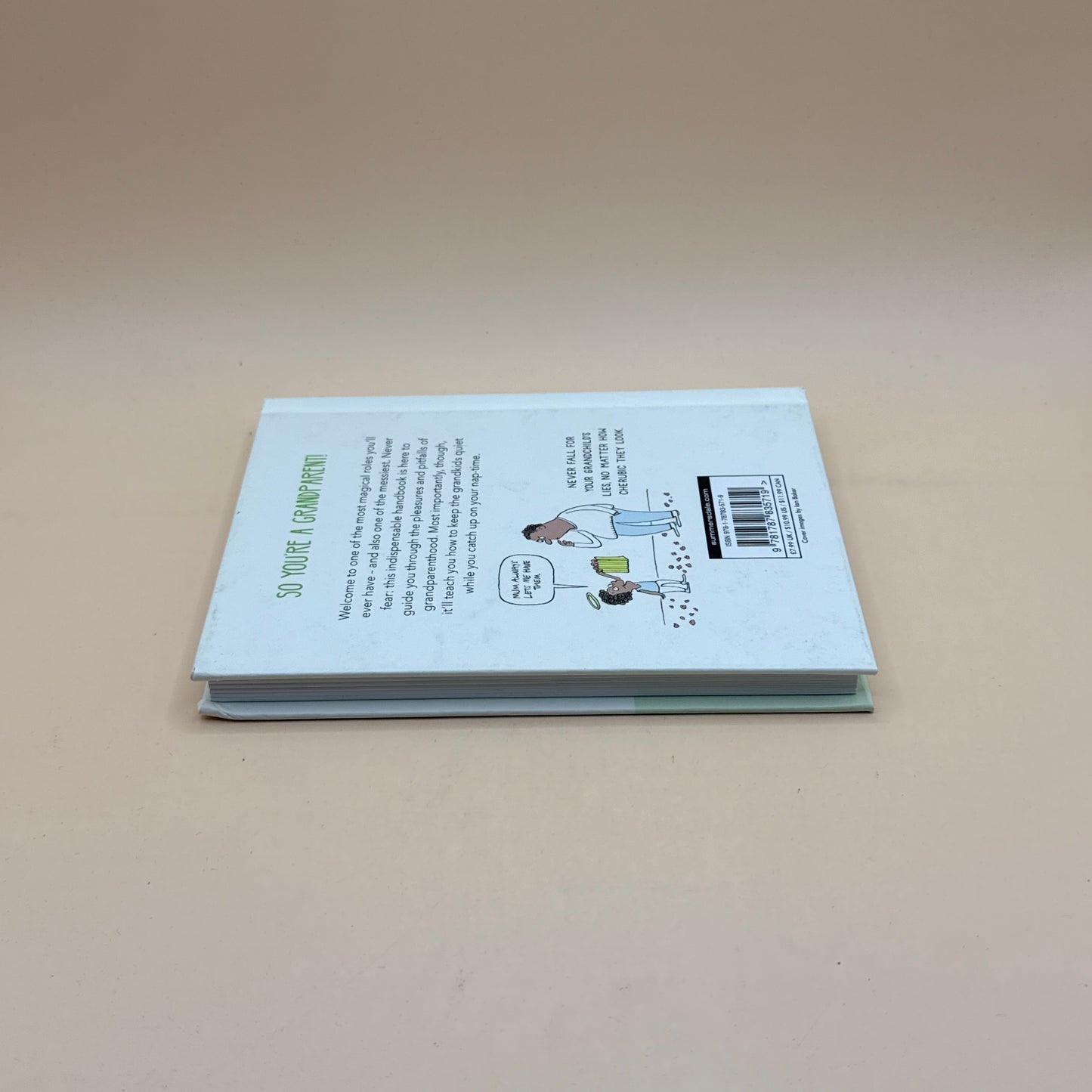 The Little Instruction Book for Grandparents by Kate Freeman