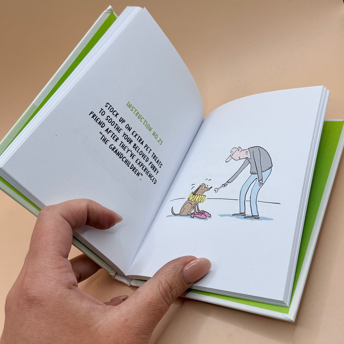The Little Instruction Book for Grandparents by Kate Freeman