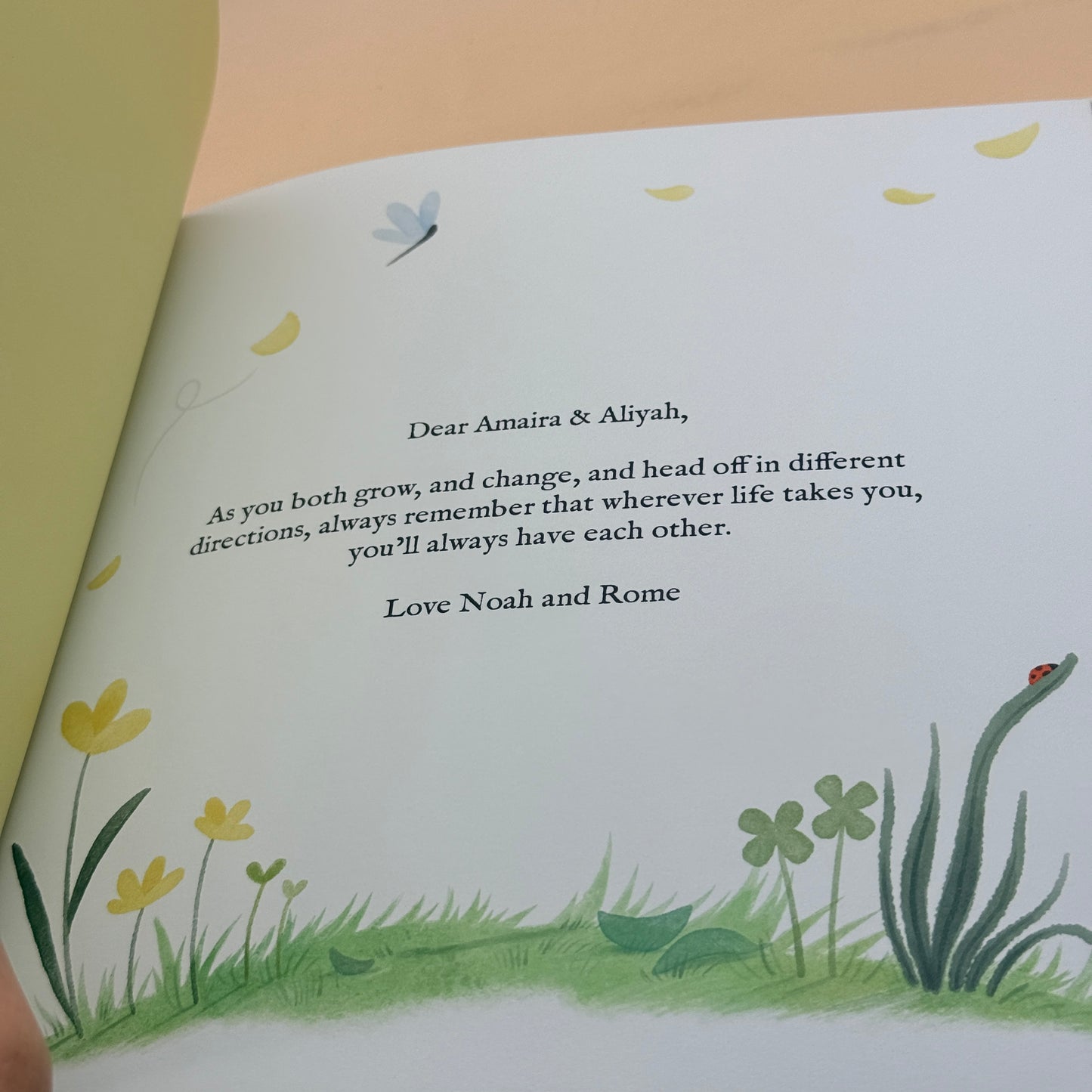 Aliyah’s Big Sister Amaira by David Cadji-Newby & Julia Gray