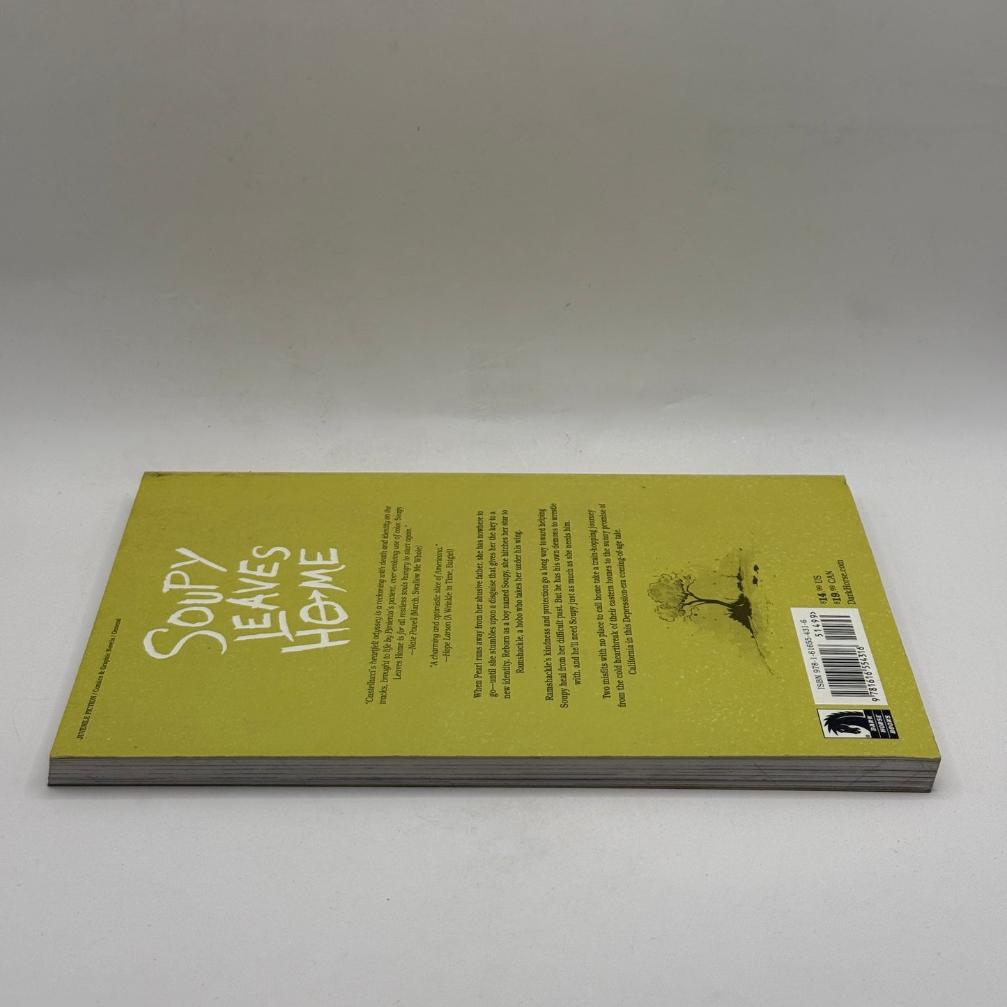 Soupy Leaves Home by Cecil Castellucci & José Pimienta