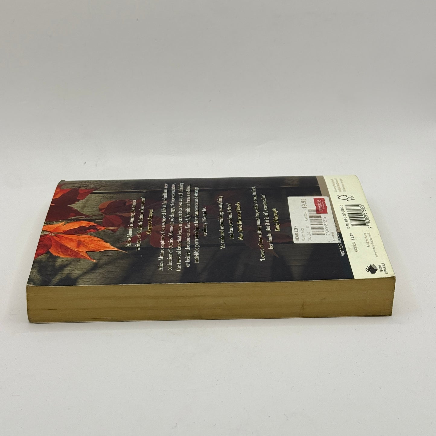 Dear Life by Alice Munro