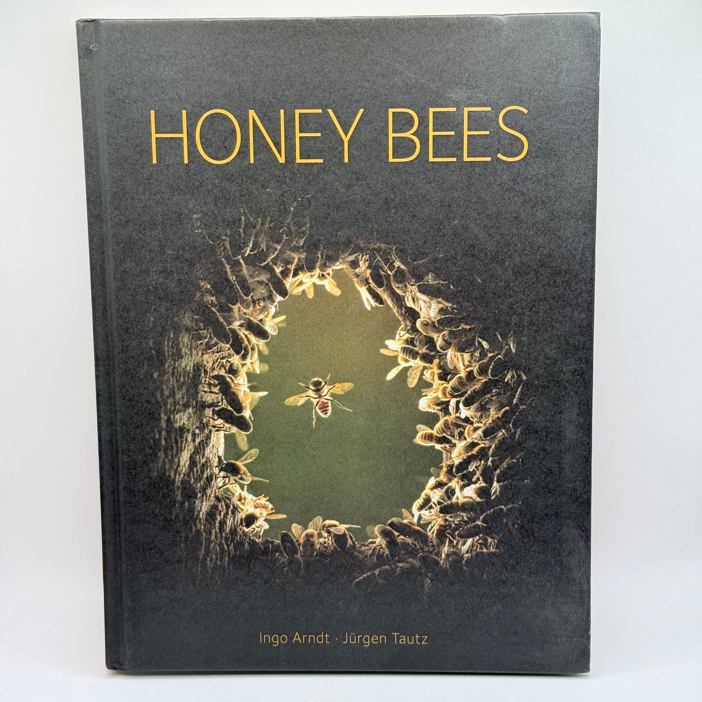 Honey Bees by Ingo Arndt and Jürgen Tautz