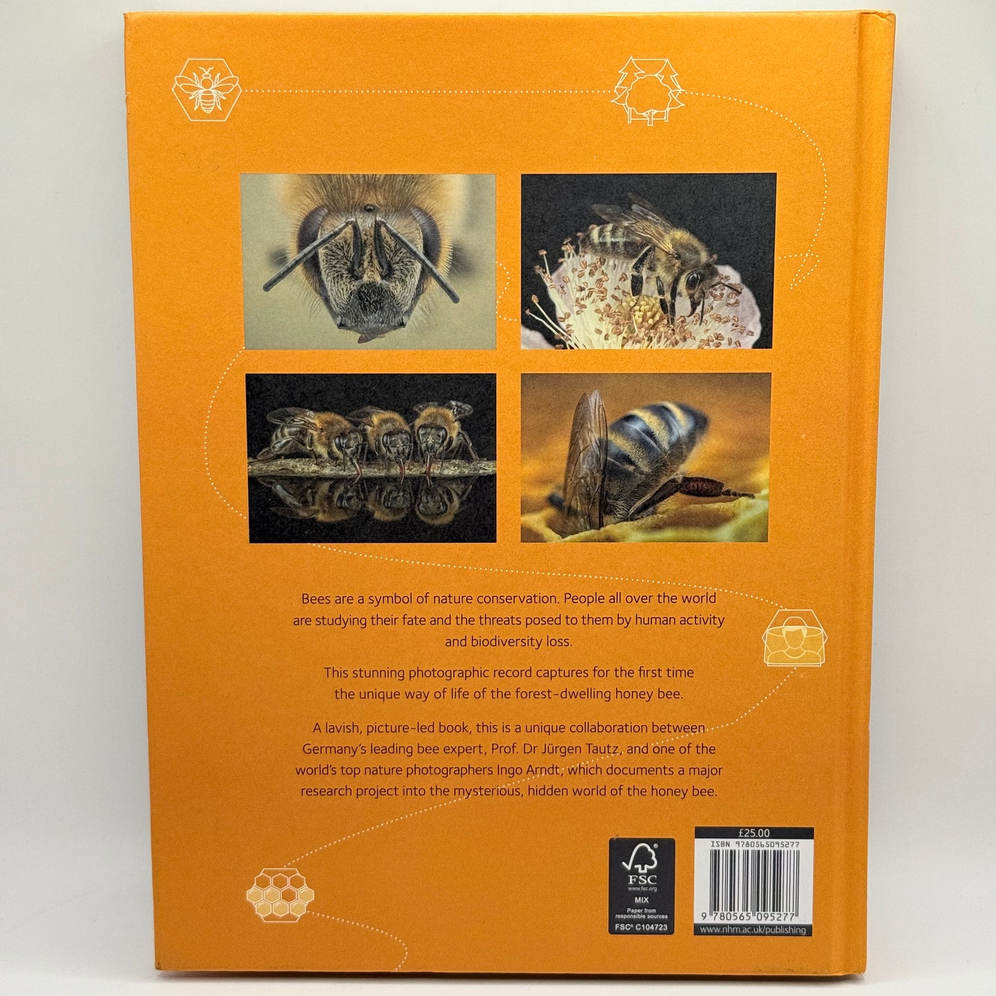 Honey Bees by Ingo Arndt and Jürgen Tautz