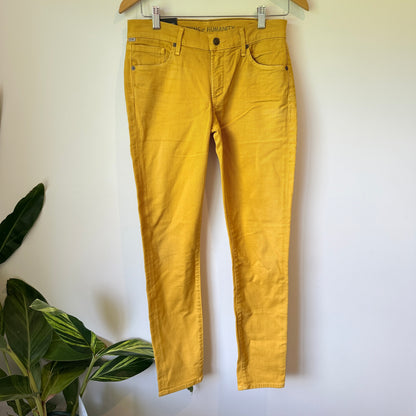 Citizens of Humanity Thompson Skinny Jeans Size 27