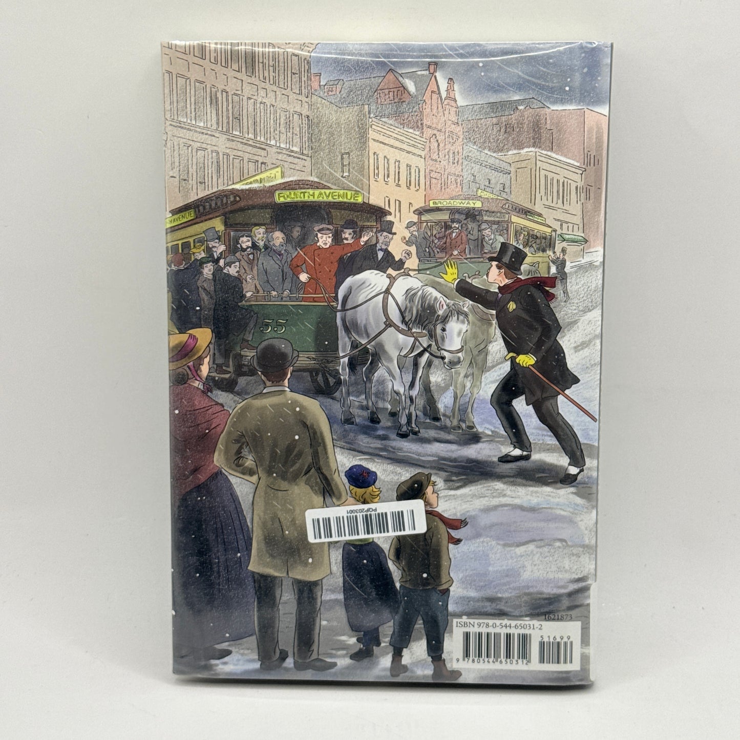 Mercy: The Incredible Story of Henry Bergh by Nancy Furstinger