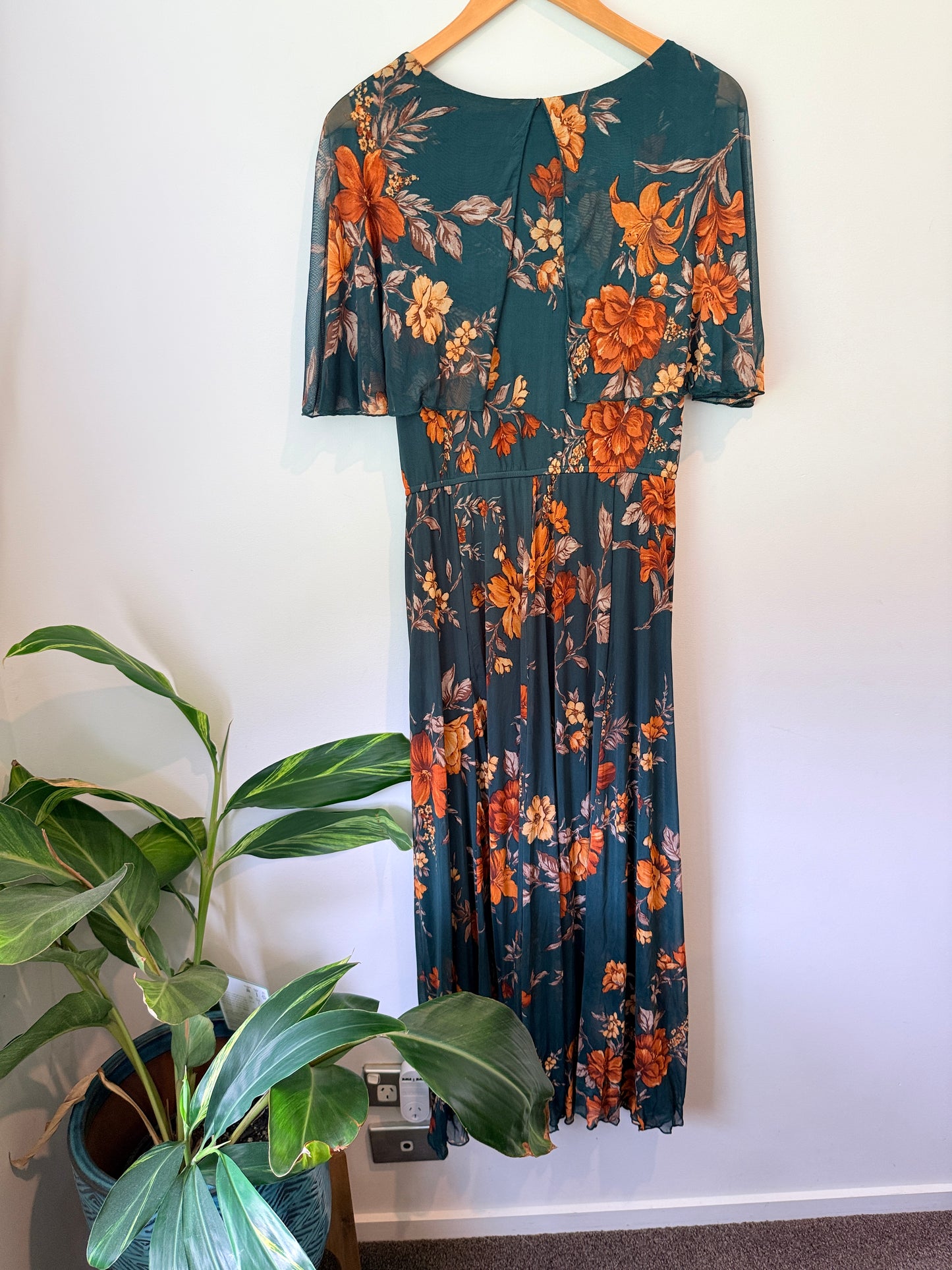Alexa B Nites Size 16W Floral Maxi Dress