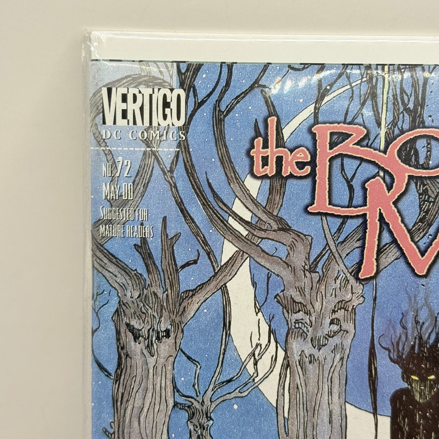 The Books of Magic #72 by Peter Gross & John Ridgway