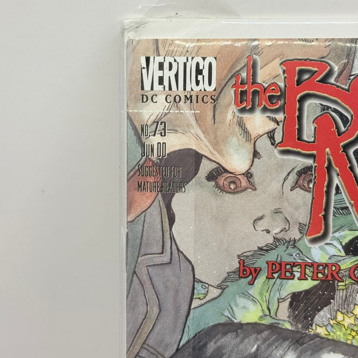 The Books of Magic #73: Chasing Barbatos by Peter Gross