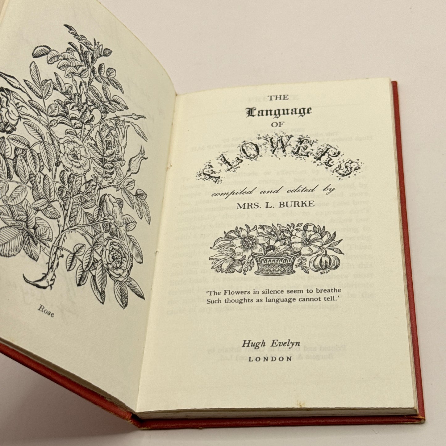 The Language Of Flowers. Compiled by Mrs L. Burke