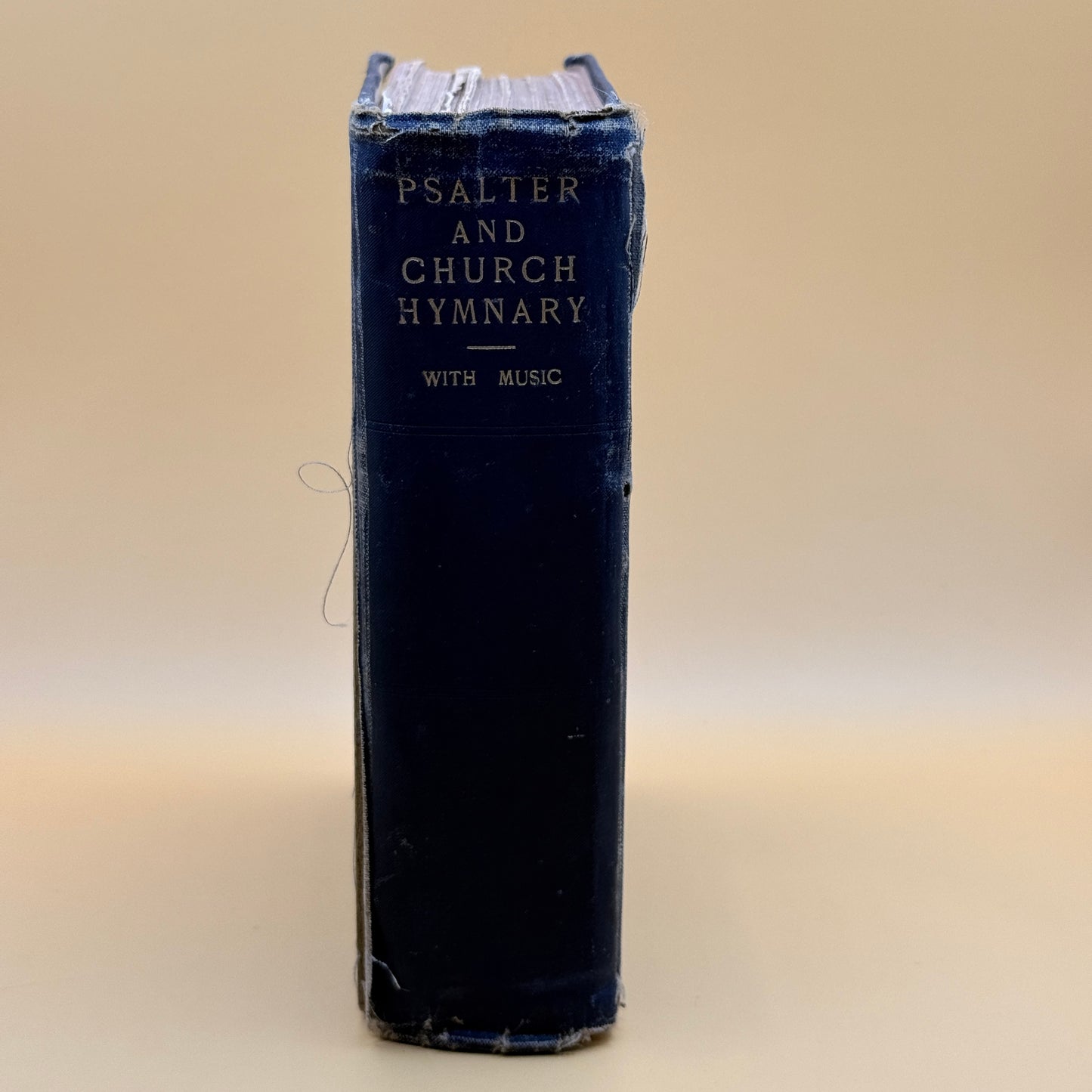 The Psalter in Metre and Church Hymnary by Henry Frowde (1899)