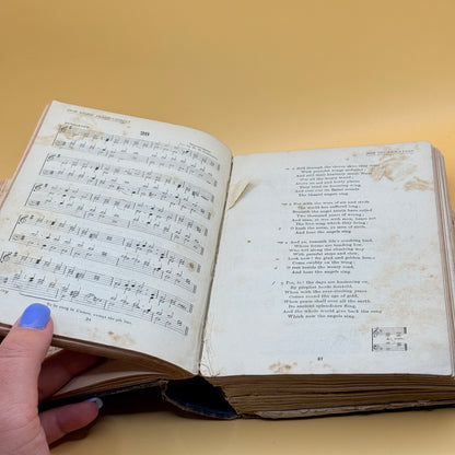 The Psalter in Metre and Church Hymnary by Henry Frowde (1899)