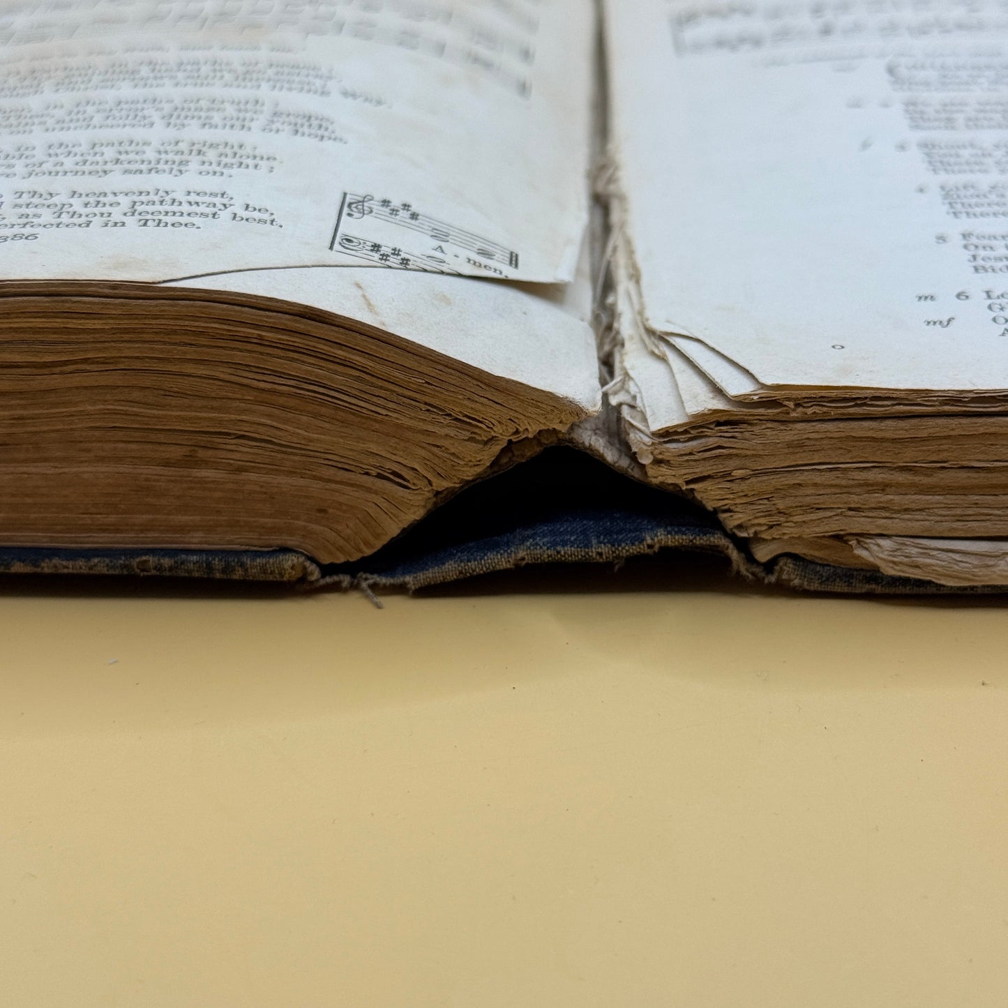 The Psalter in Metre and Church Hymnary by Henry Frowde (1899)