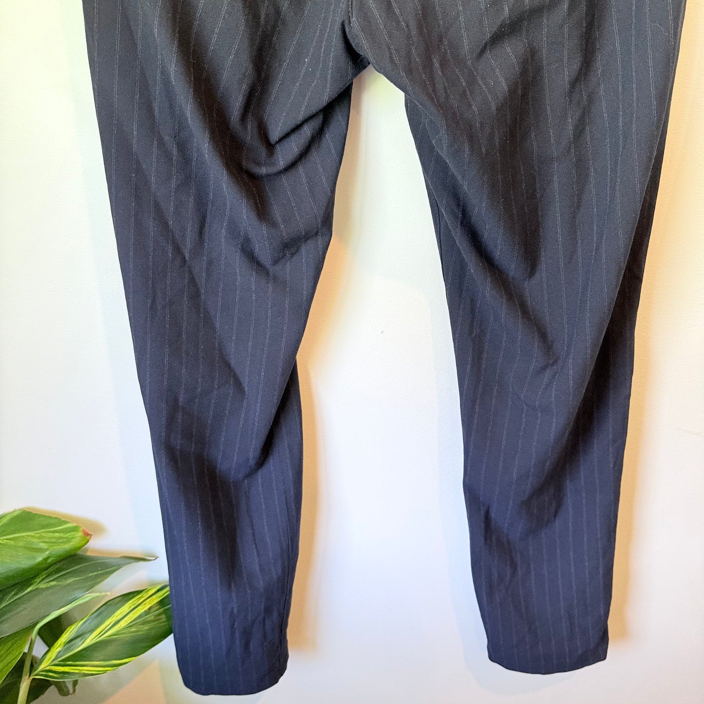 Zara Size S Pinstripe Pants