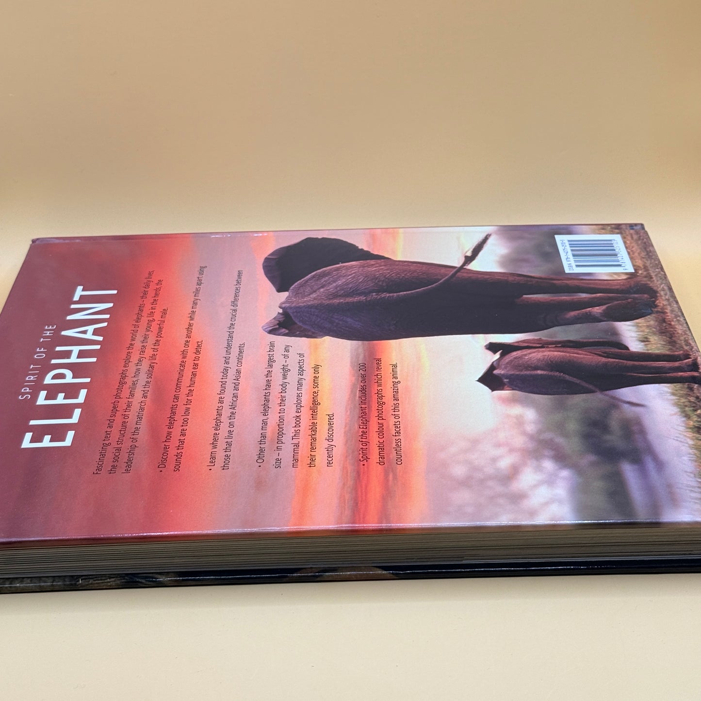 Spirit of the Elephant by Gill Davies