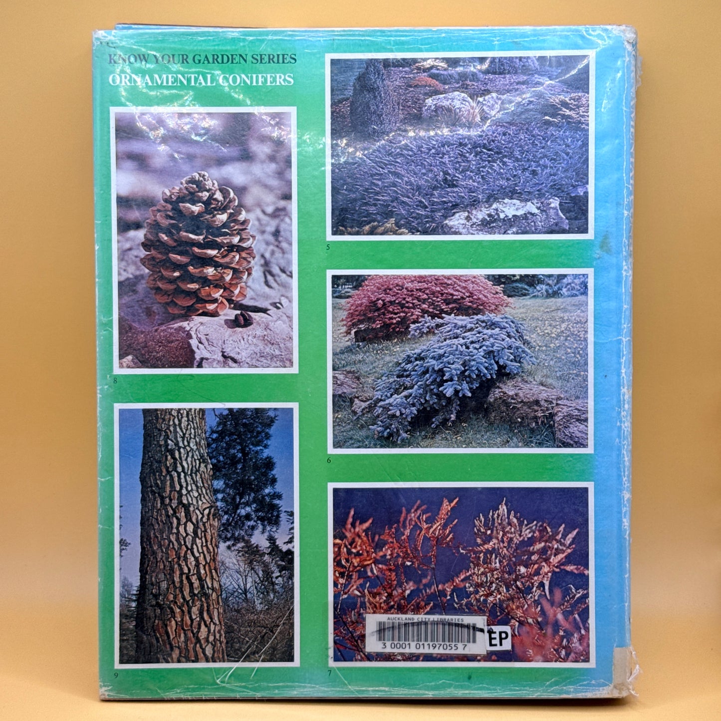 Ornamental Conifers by Charles R. Harrison
