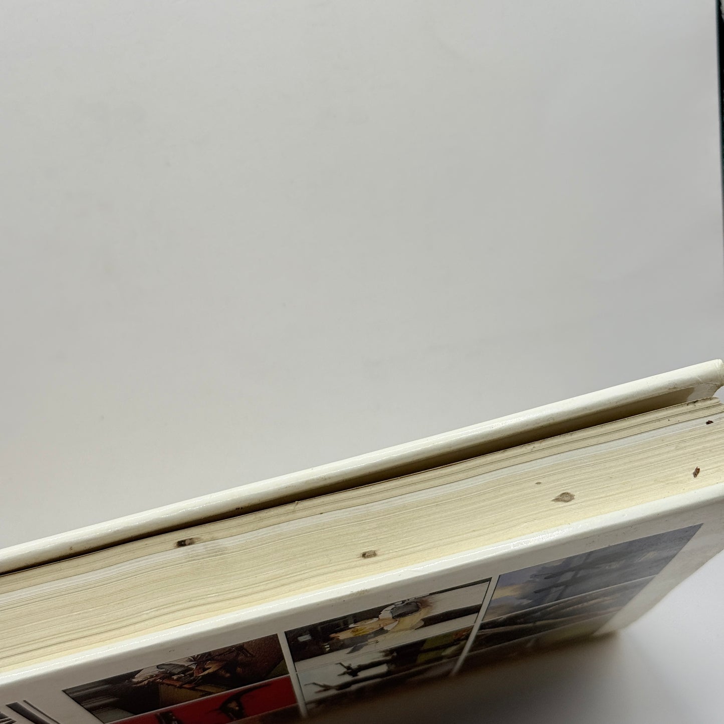 The Book of Shooting for Sport and Skill by Müller