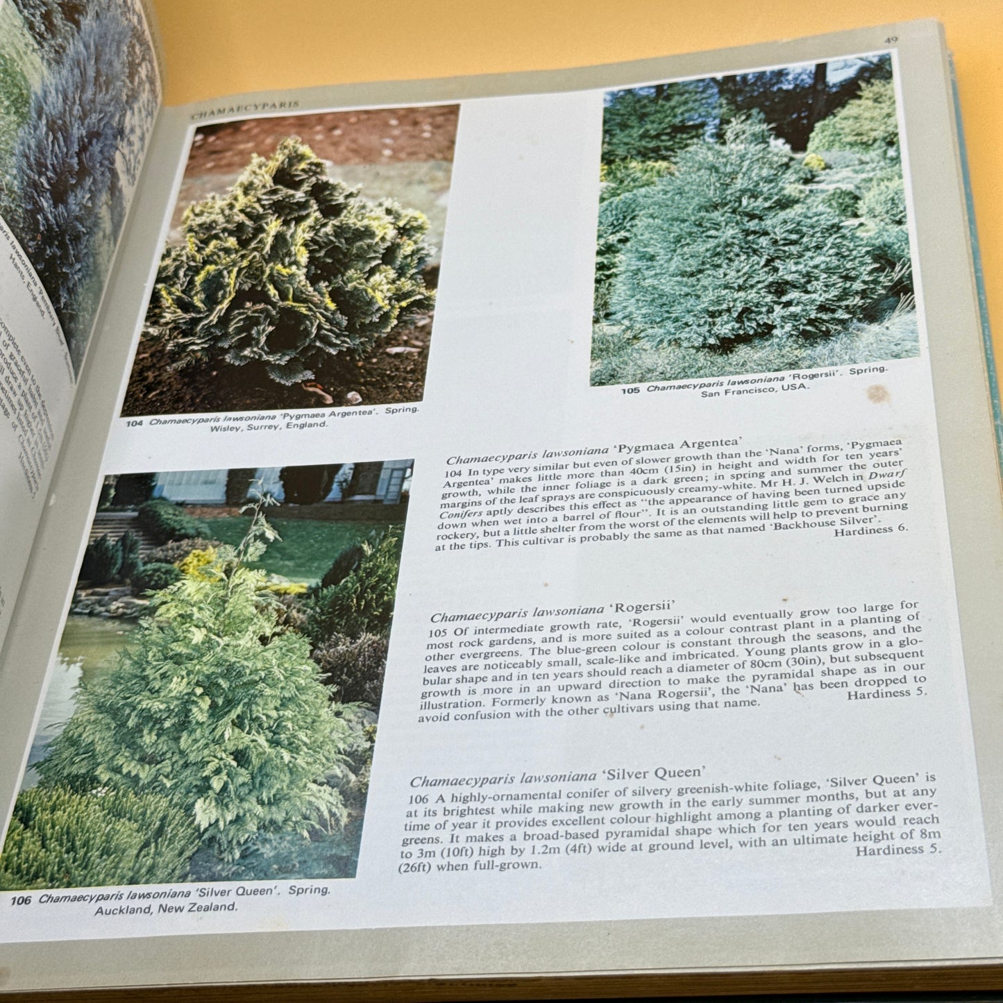 Ornamental Conifers by Charles R. Harrison