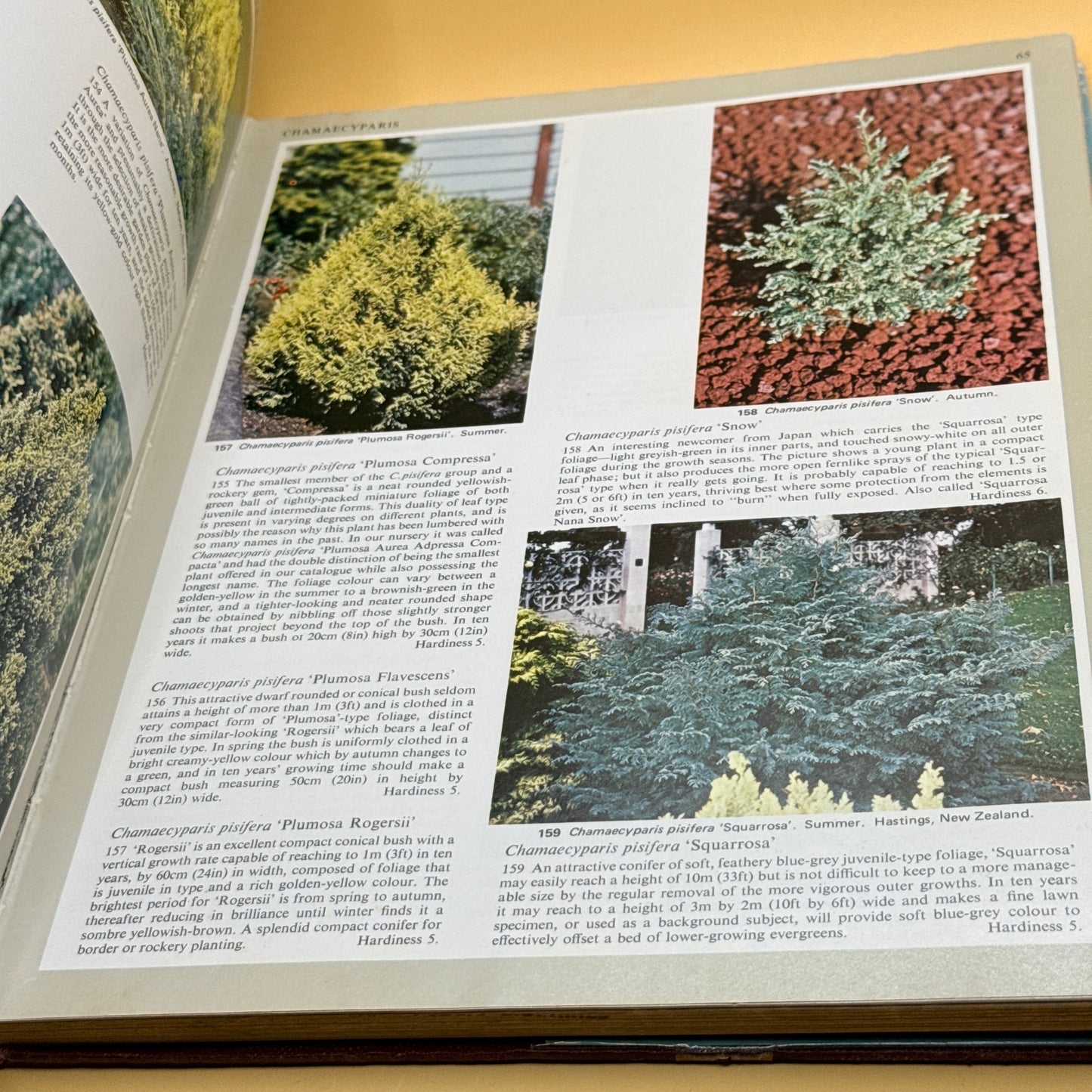 Ornamental Conifers by Charles R. Harrison