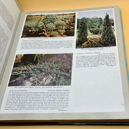 Ornamental Conifers by Charles R. Harrison
