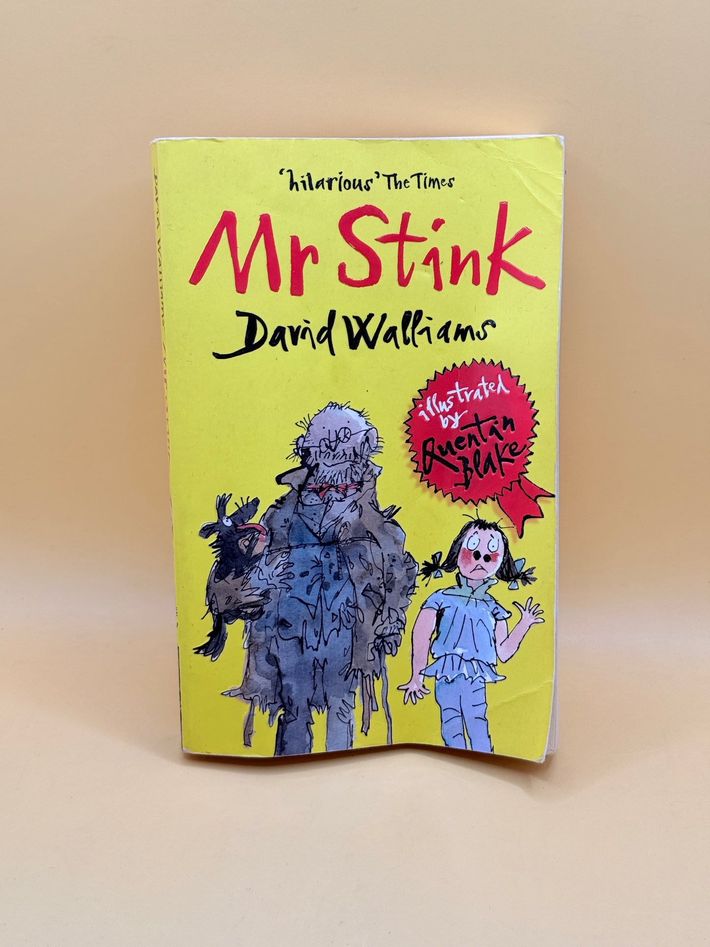Mr Stink by David Walliams