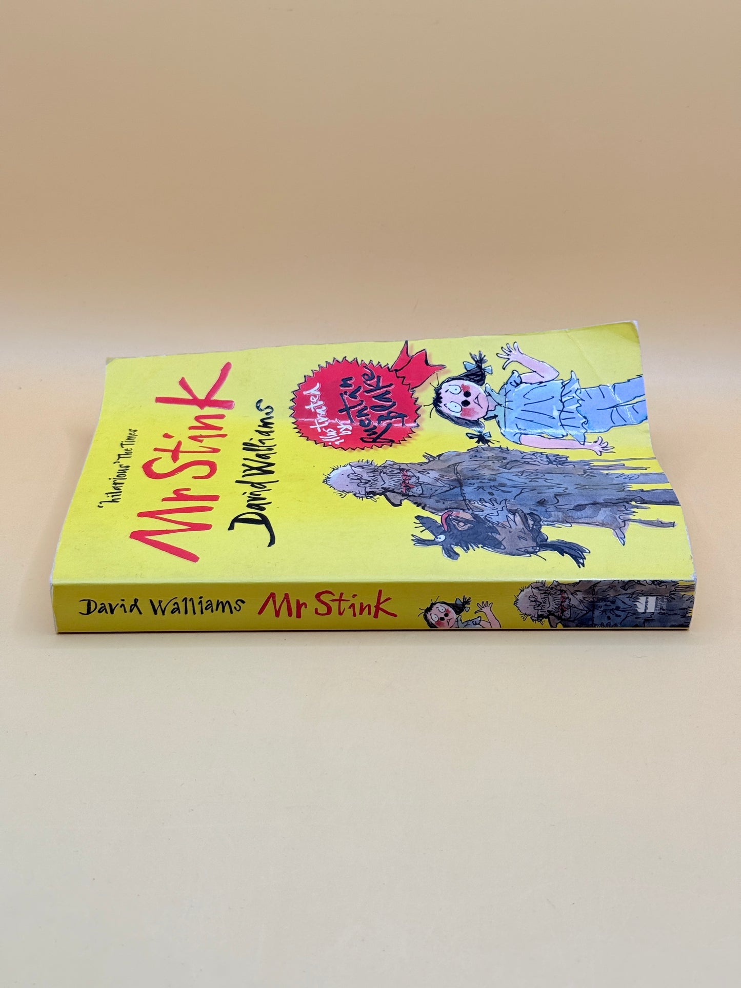 Mr Stink by David Walliams