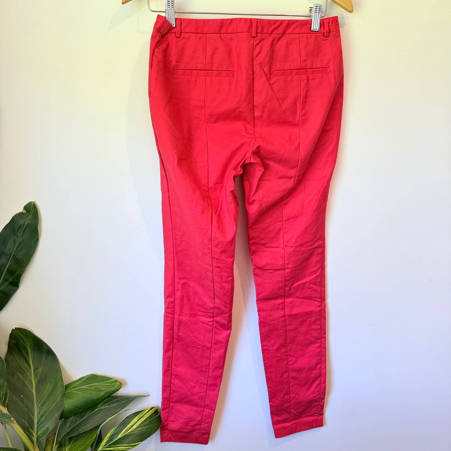 Country Road Size 6 Cotton Pants