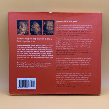 In the Womb by Peter Tallack