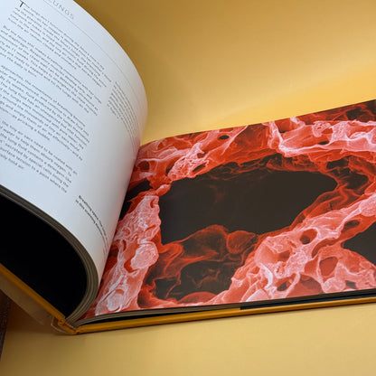 In the Womb by Peter Tallack