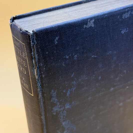 The Little White Bird by J. M. Barrie (1902 FIRST EDITION)