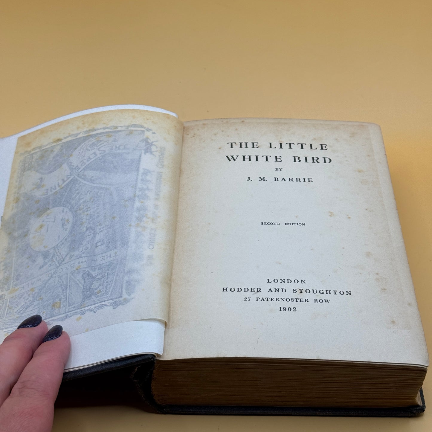 The Little White Bird by J. M. Barrie (1902 FIRST EDITION)