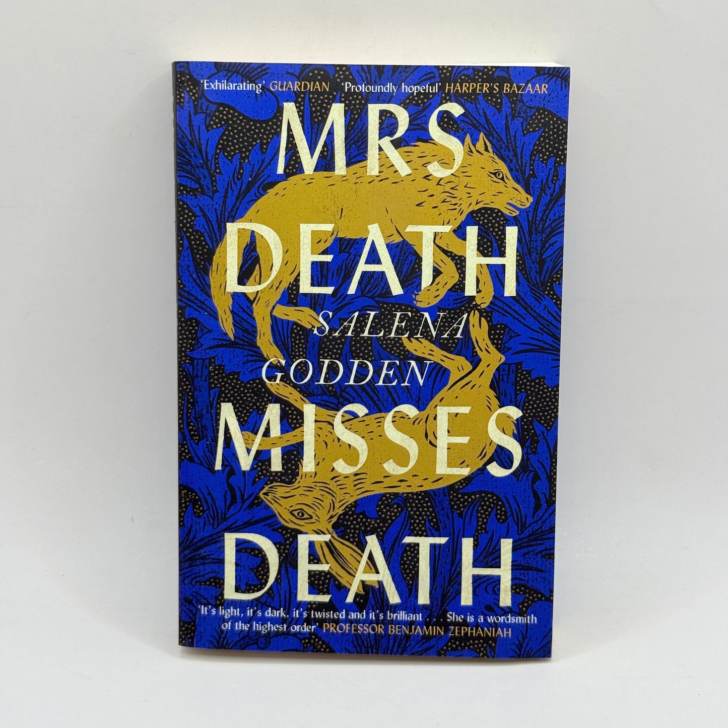 Mrs Death Misses Death by Salena Godden