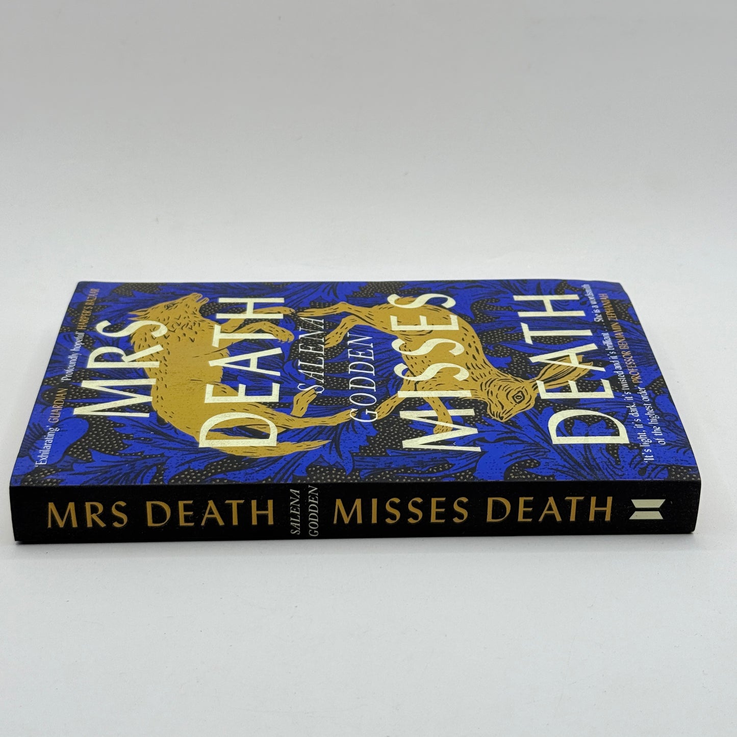 Mrs Death Misses Death by Salena Godden