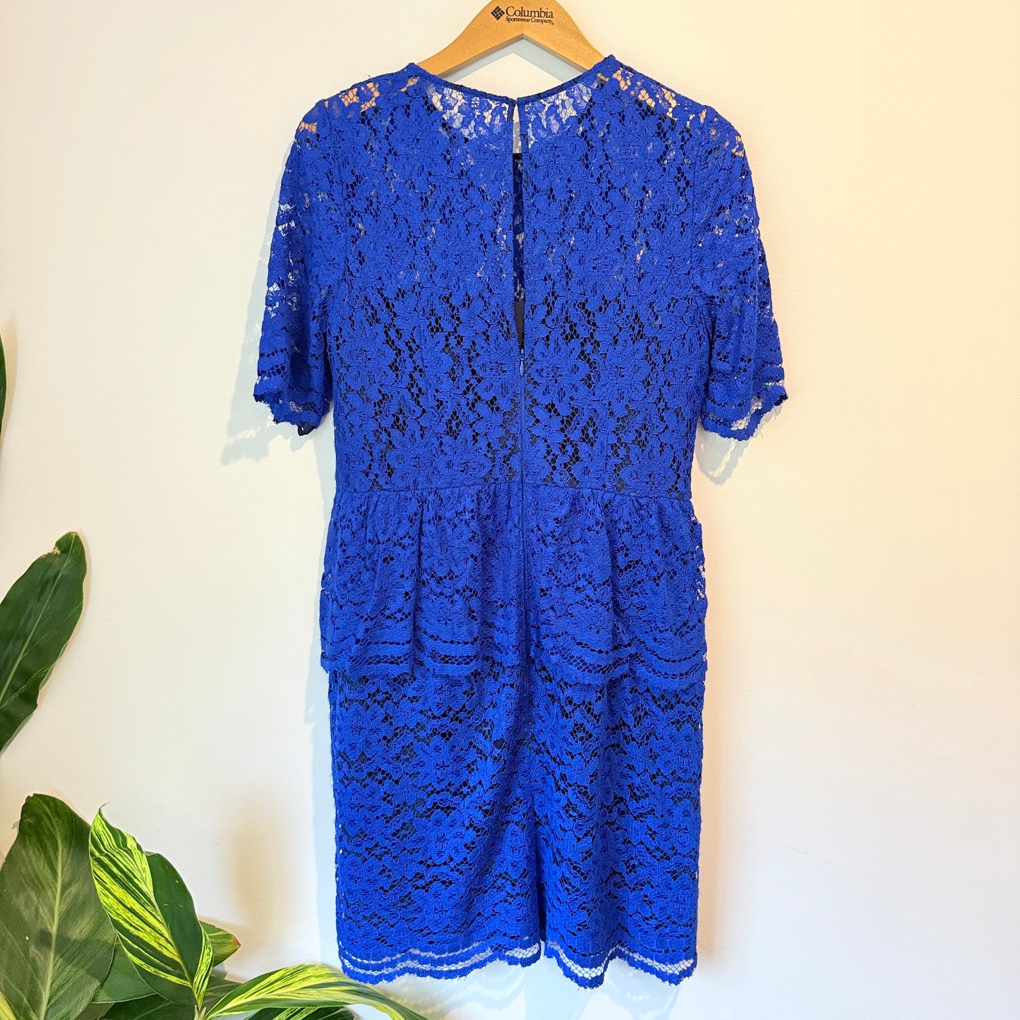 Whistles Size 12 Royal Blue Gloria Lace Dress