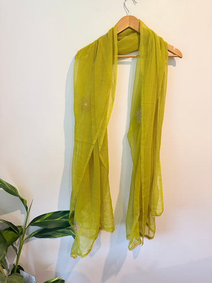 Sheer Embroidered Head Scarf / Shawl with Floral Detail