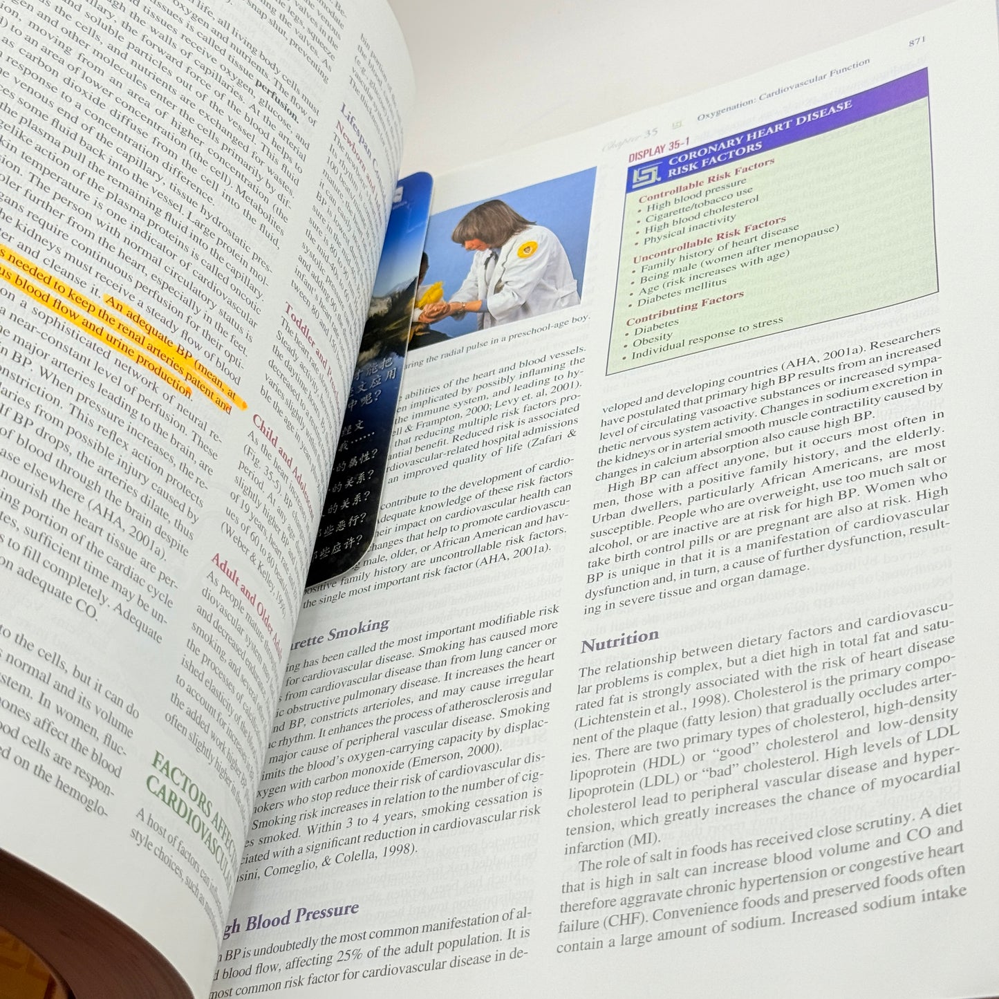 Fundamentals of Nursing: Human Health and Function by Ruth F. Craven and Constance J. Hirnle